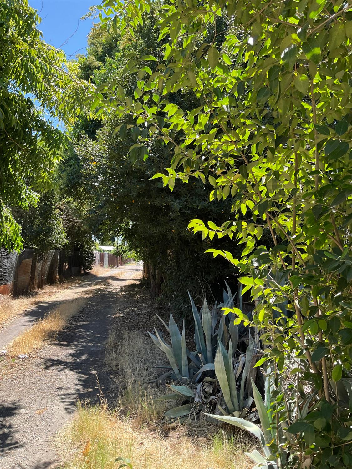 303 Plainsburg Rd, Planada, CA 95365
