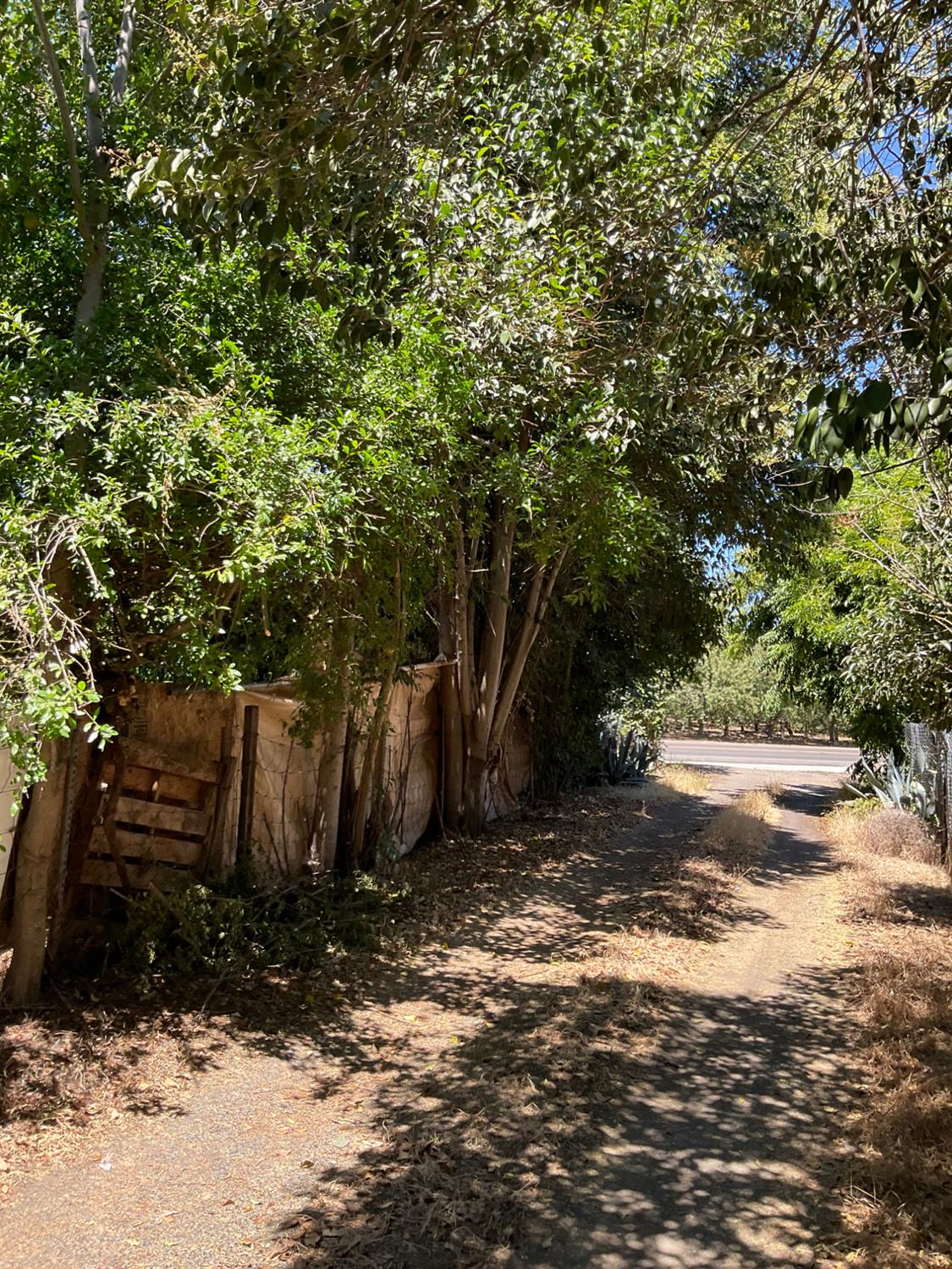 303 Plainsburg Rd, Planada, CA 95365