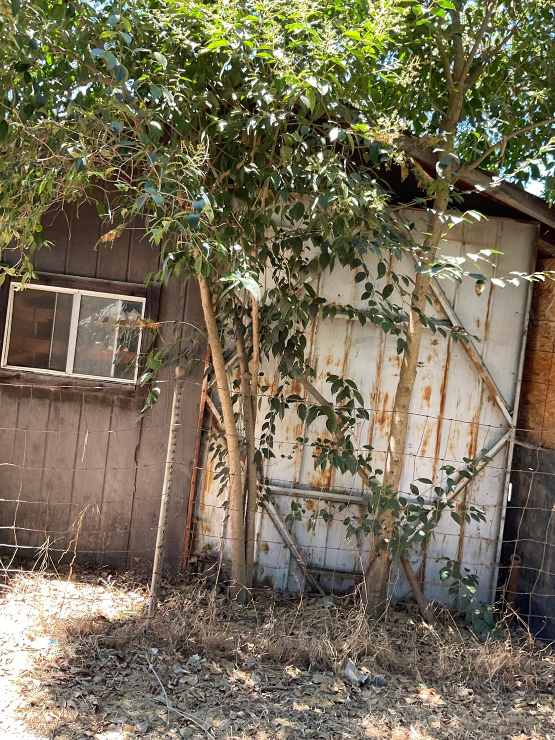 303 Plainsburg Rd, Planada, CA 95365