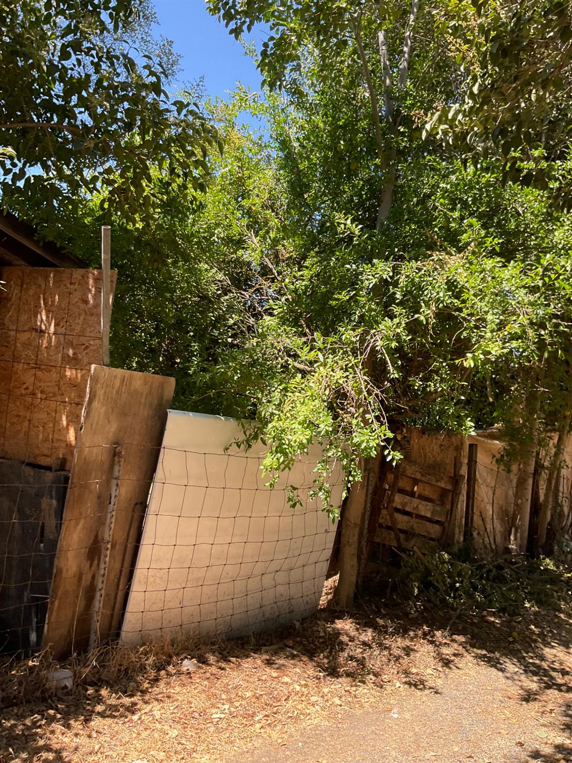 303 Plainsburg Rd, Planada, CA 95365