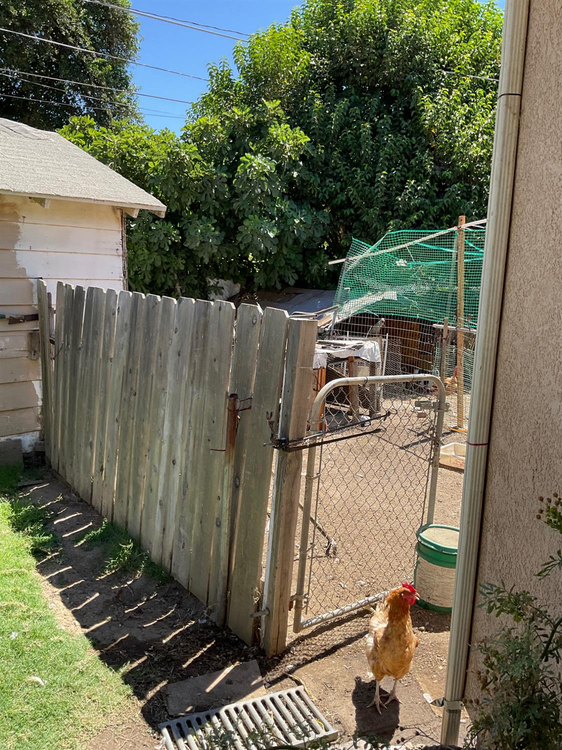 303 Plainsburg Rd, Planada, CA 95365
