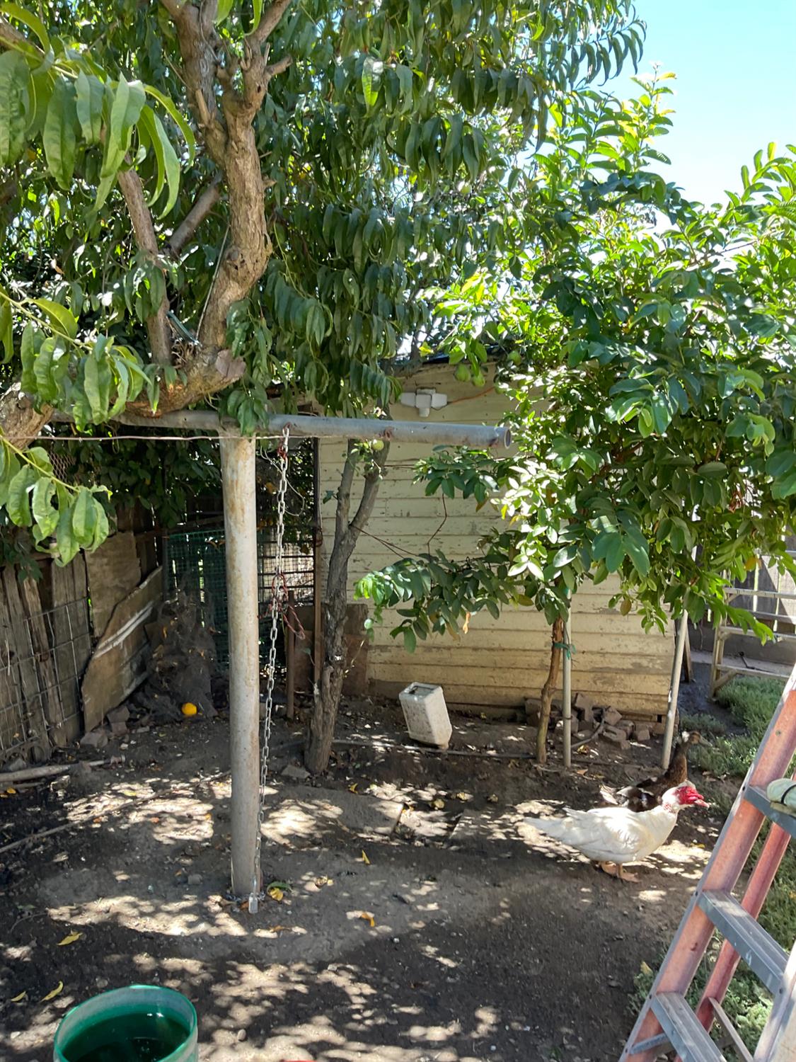 303 Plainsburg Rd, Planada, CA 95365