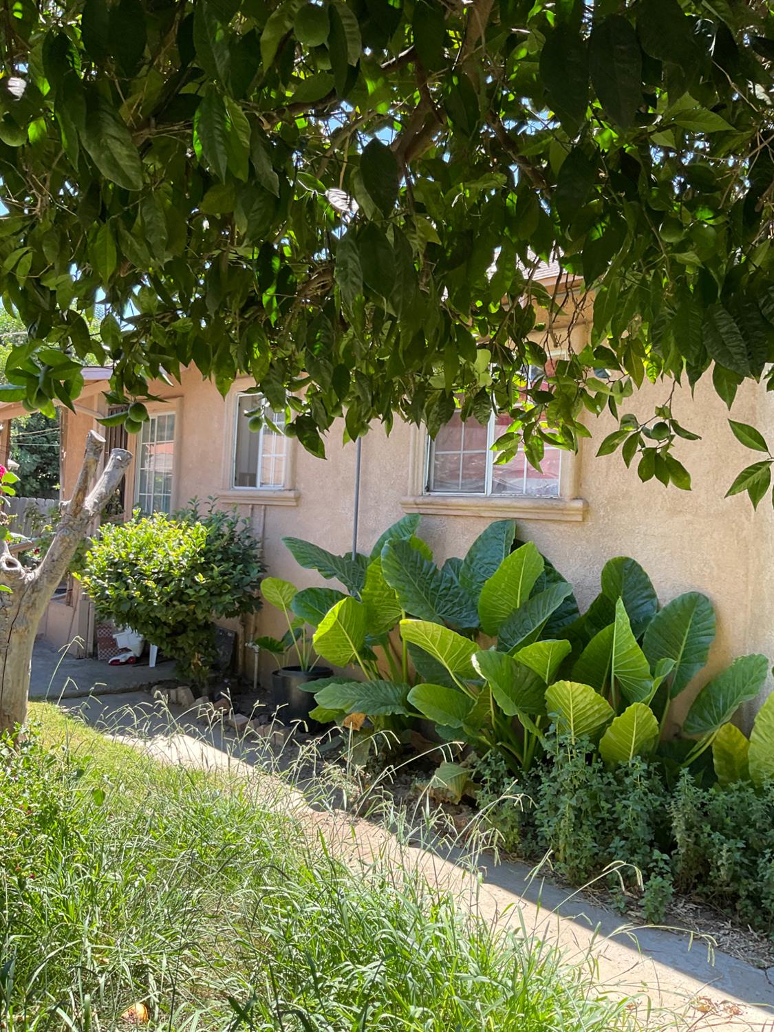303 Plainsburg Rd, Planada, CA 95365