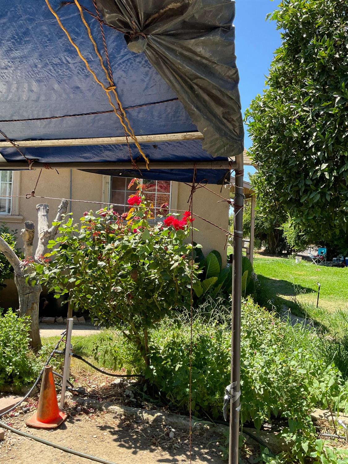 303 Plainsburg Rd, Planada, CA 95365