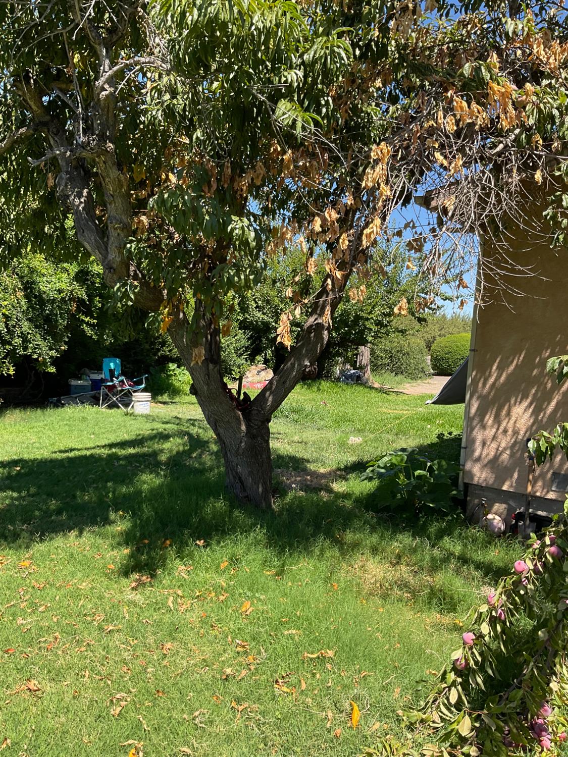 303 Plainsburg Rd, Planada, CA 95365