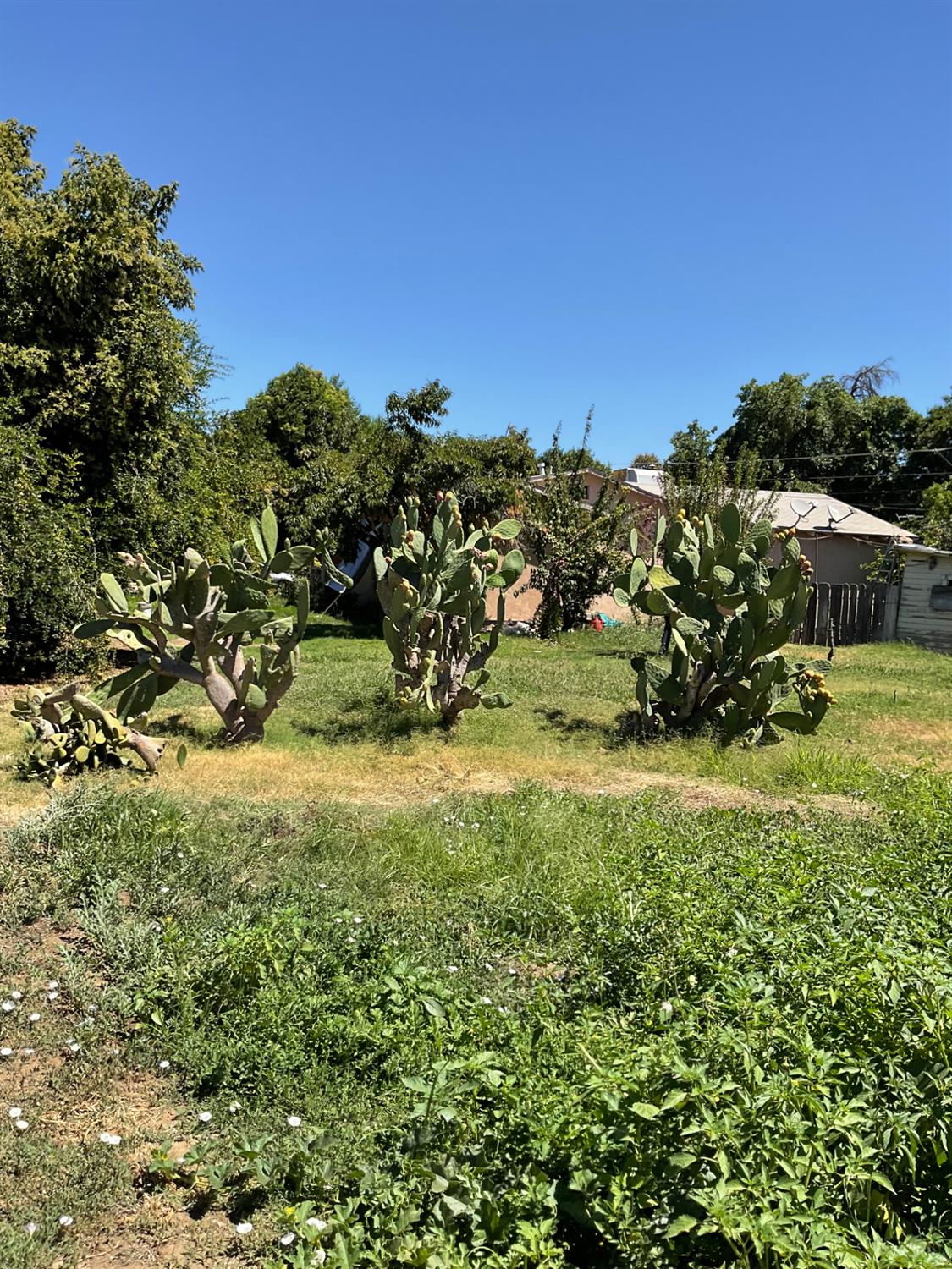 303 Plainsburg Rd, Planada, CA 95365