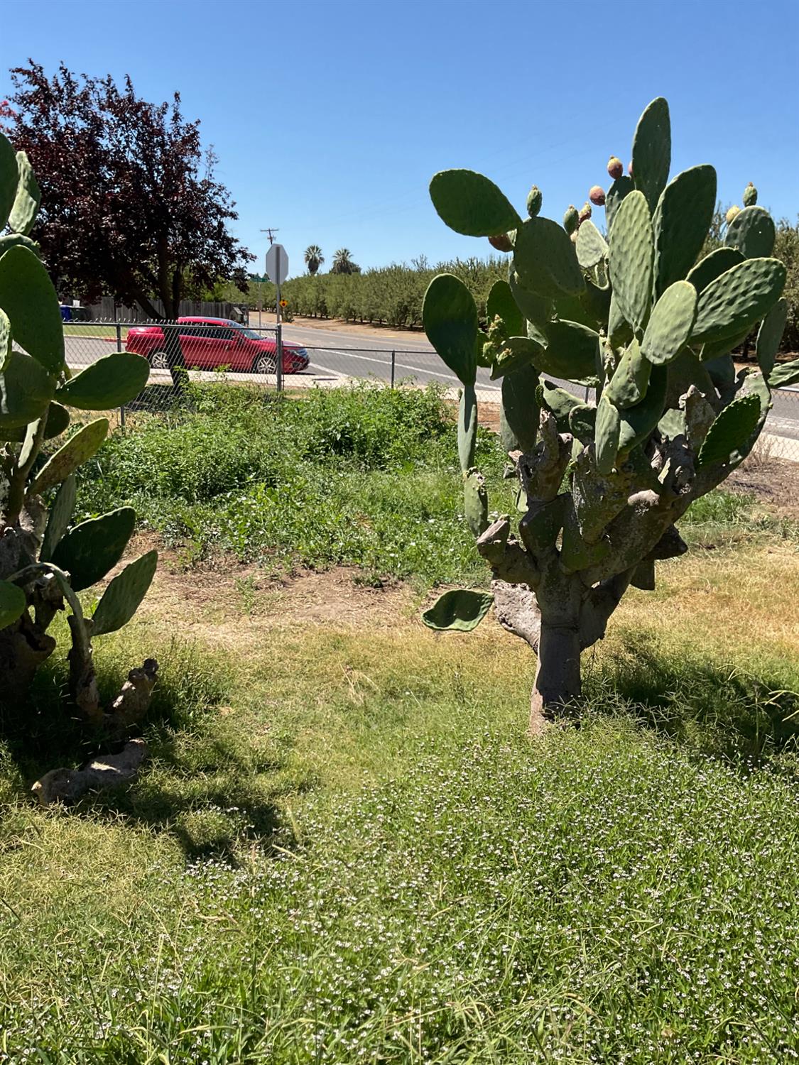 303 Plainsburg Rd, Planada, CA 95365
