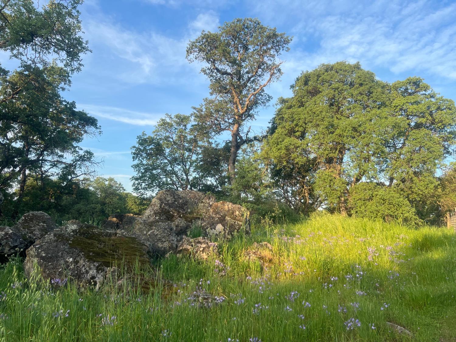 4757 La Grange Rd, La Grange, CA 95329
