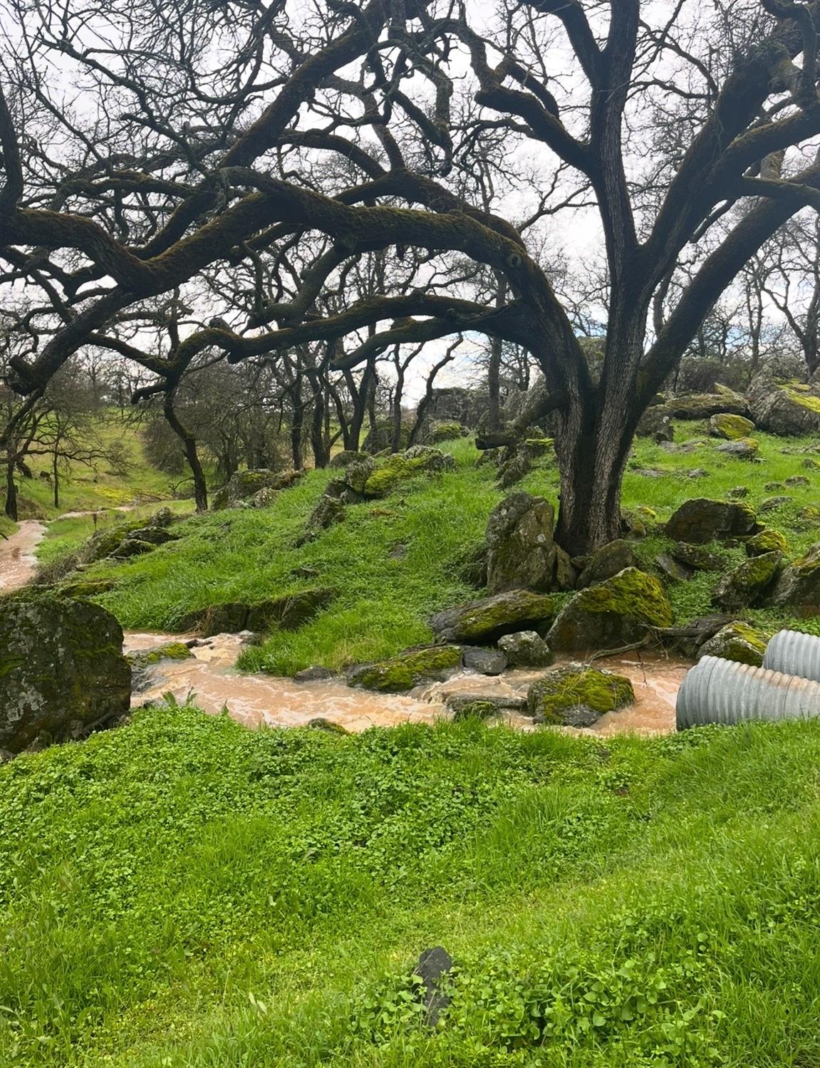 4757 La Grange Rd, La Grange, CA 95329