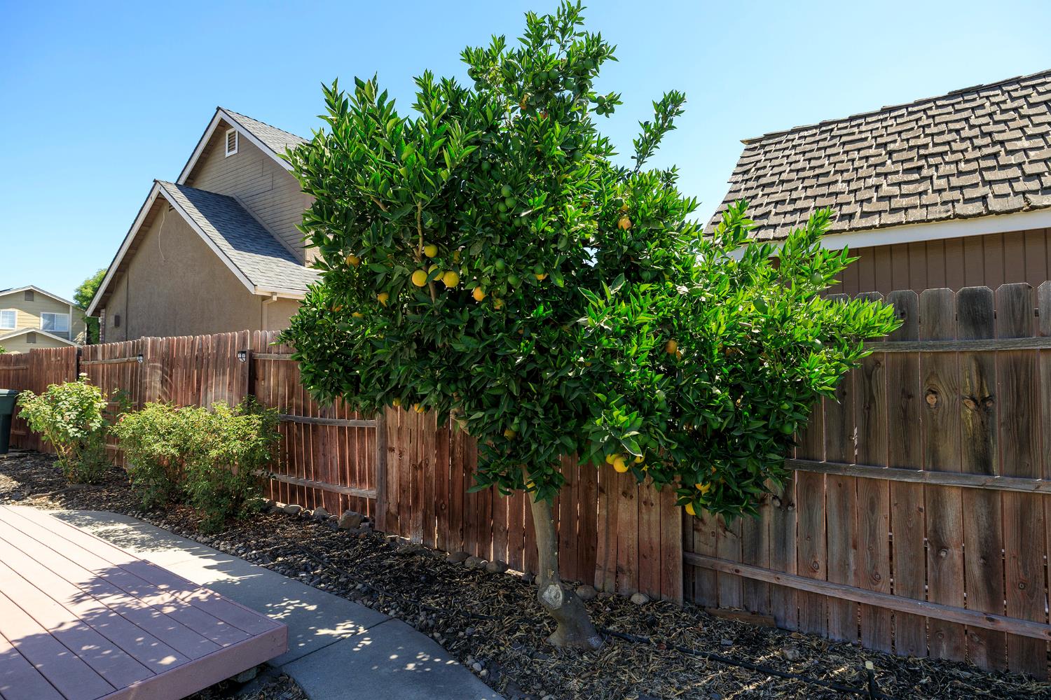 1513 Ullrey Ave, Escalon, CA 95320