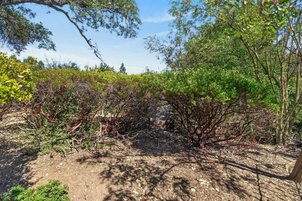 460 Mitchell Lake Ct, Copperopolis, CA 95228