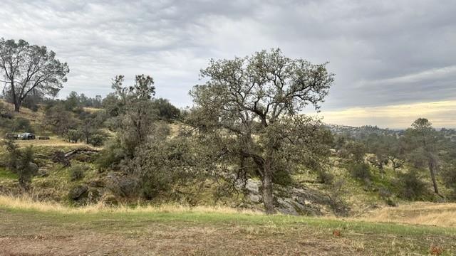 39874 Lilley Mountain Dr, Coarsegold, CA 93614
