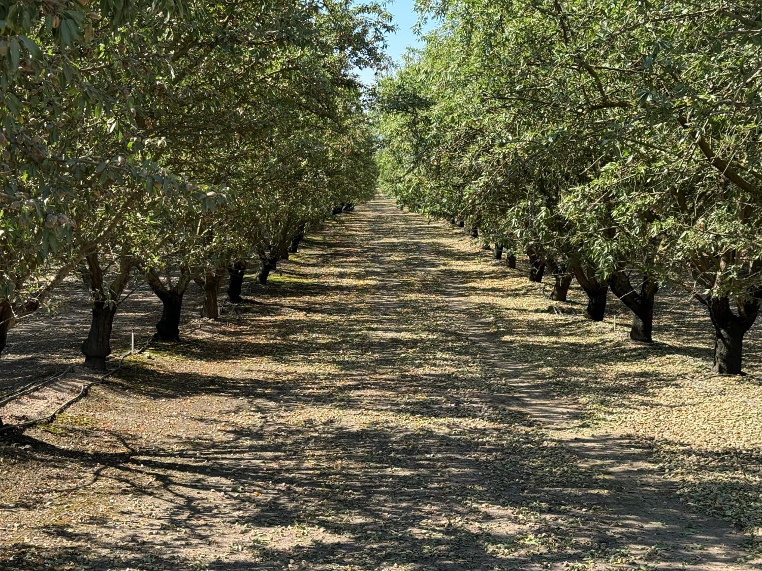 1327 Hazeldean Rd, Waterford, CA 95386