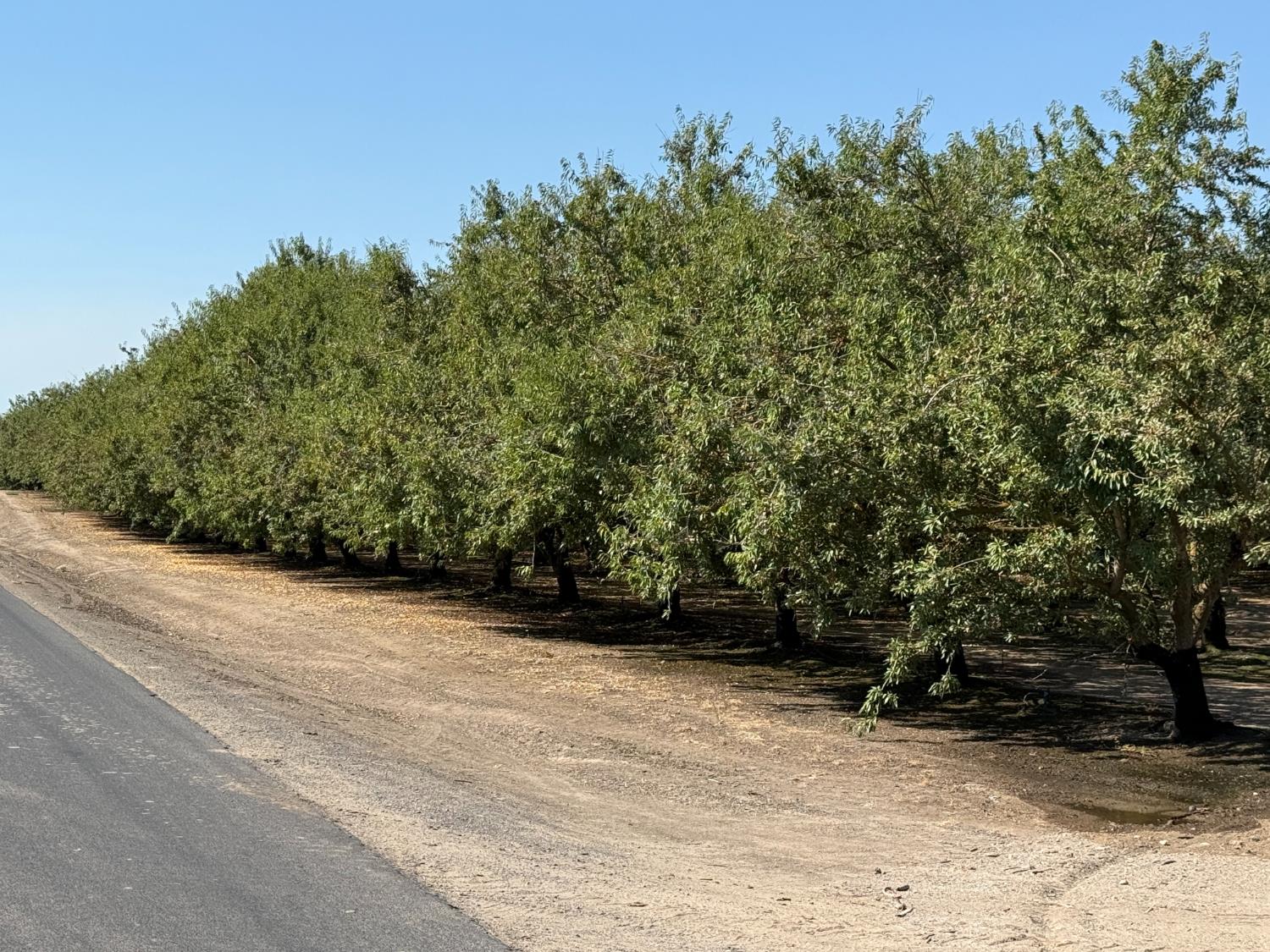 1327 Hazeldean Rd, Waterford, CA 95386