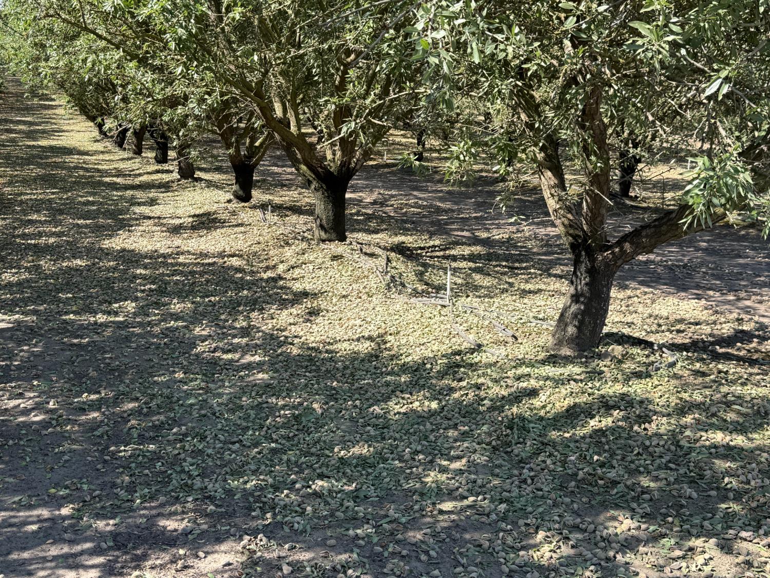 1327 Hazeldean Rd, Waterford, CA 95386