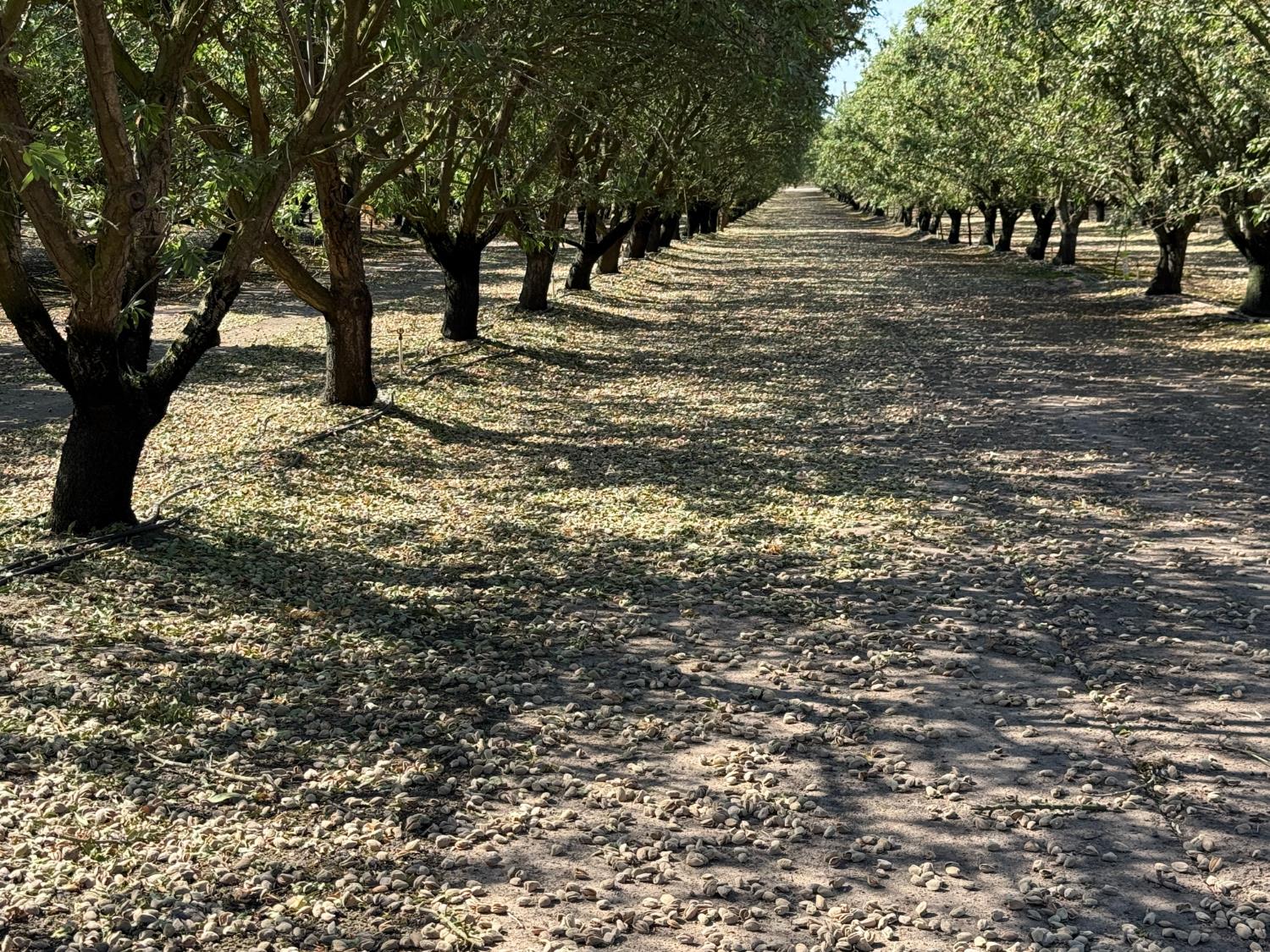 1327 Hazeldean Rd, Waterford, CA 95386