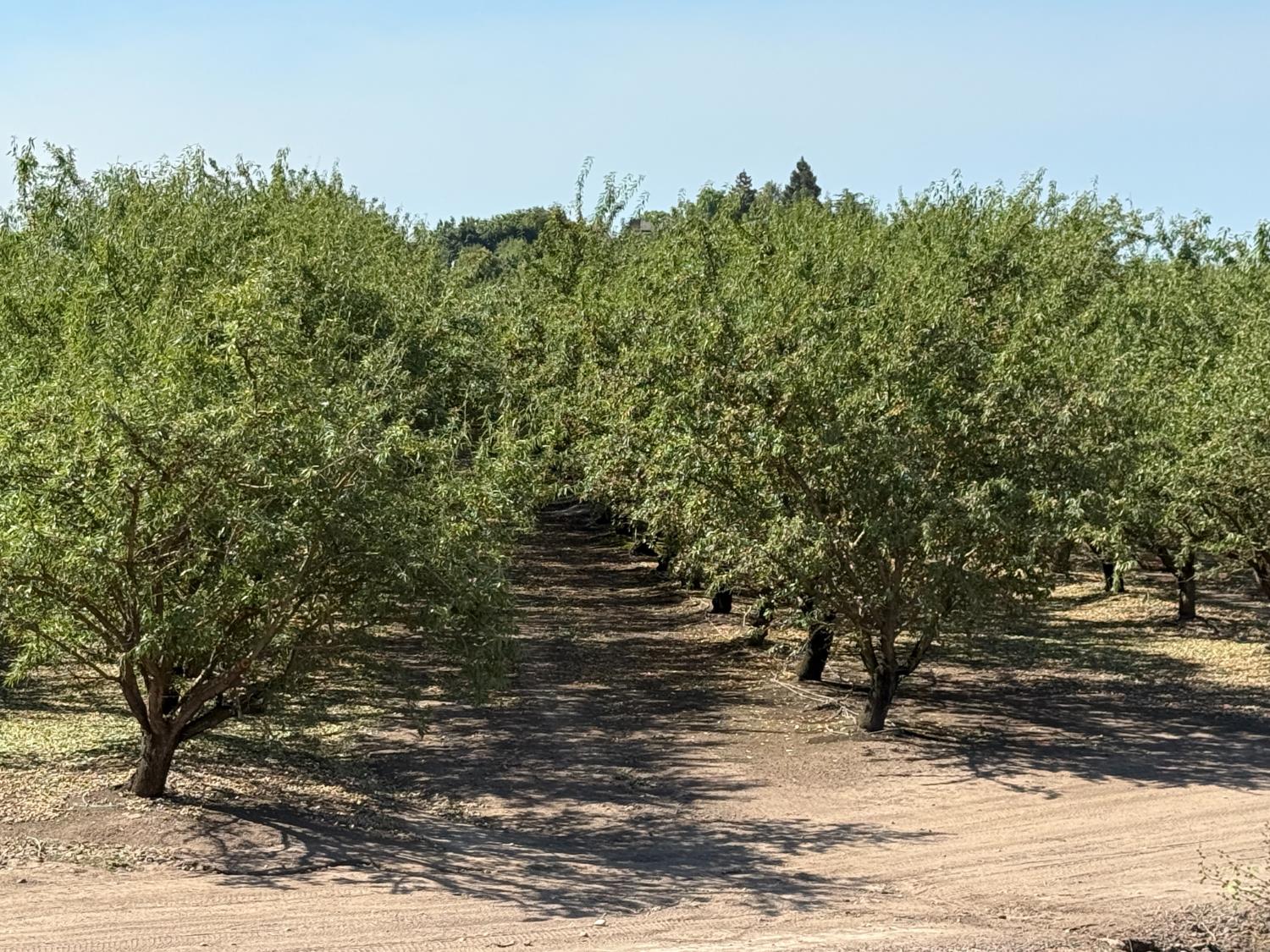 1327 Hazeldean Rd, Waterford, CA 95386