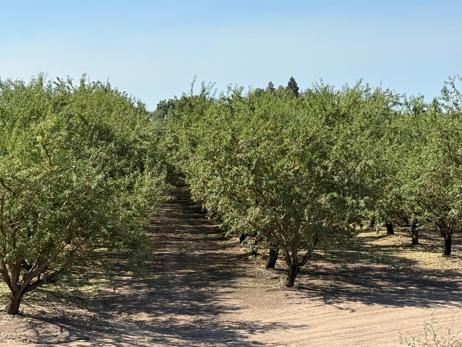 1327 Hazeldean Rd, Waterford, CA 95386