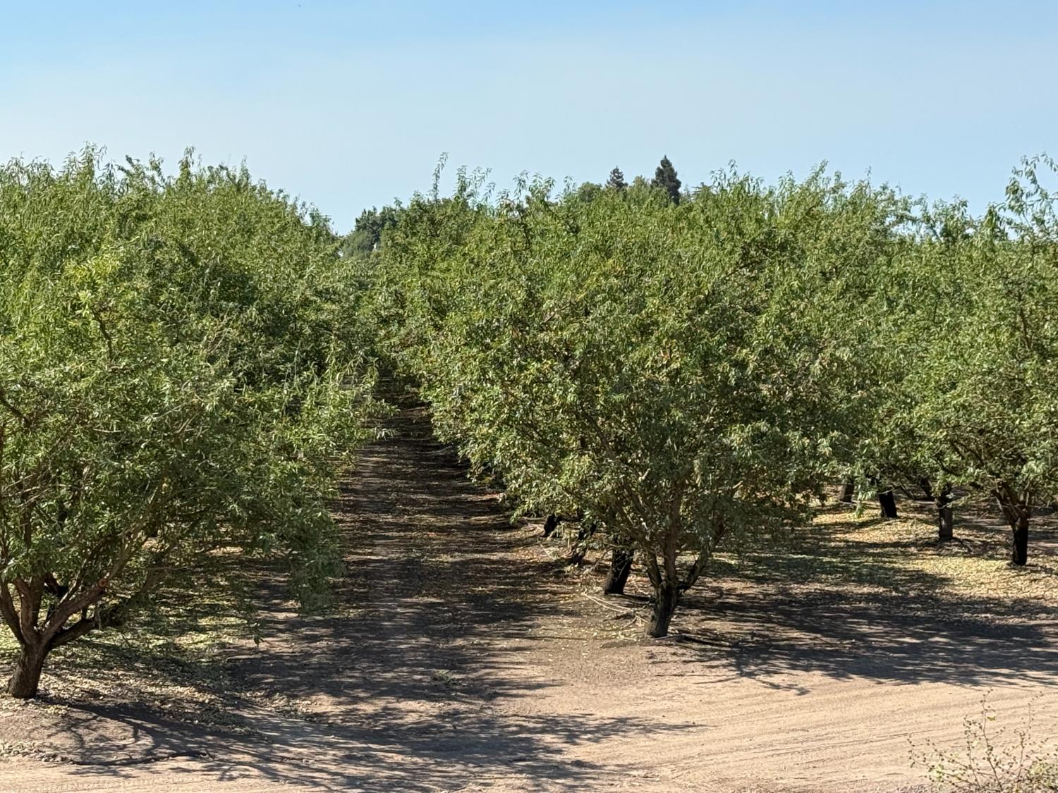 1327 Hazeldean Rd, Waterford, CA 95386