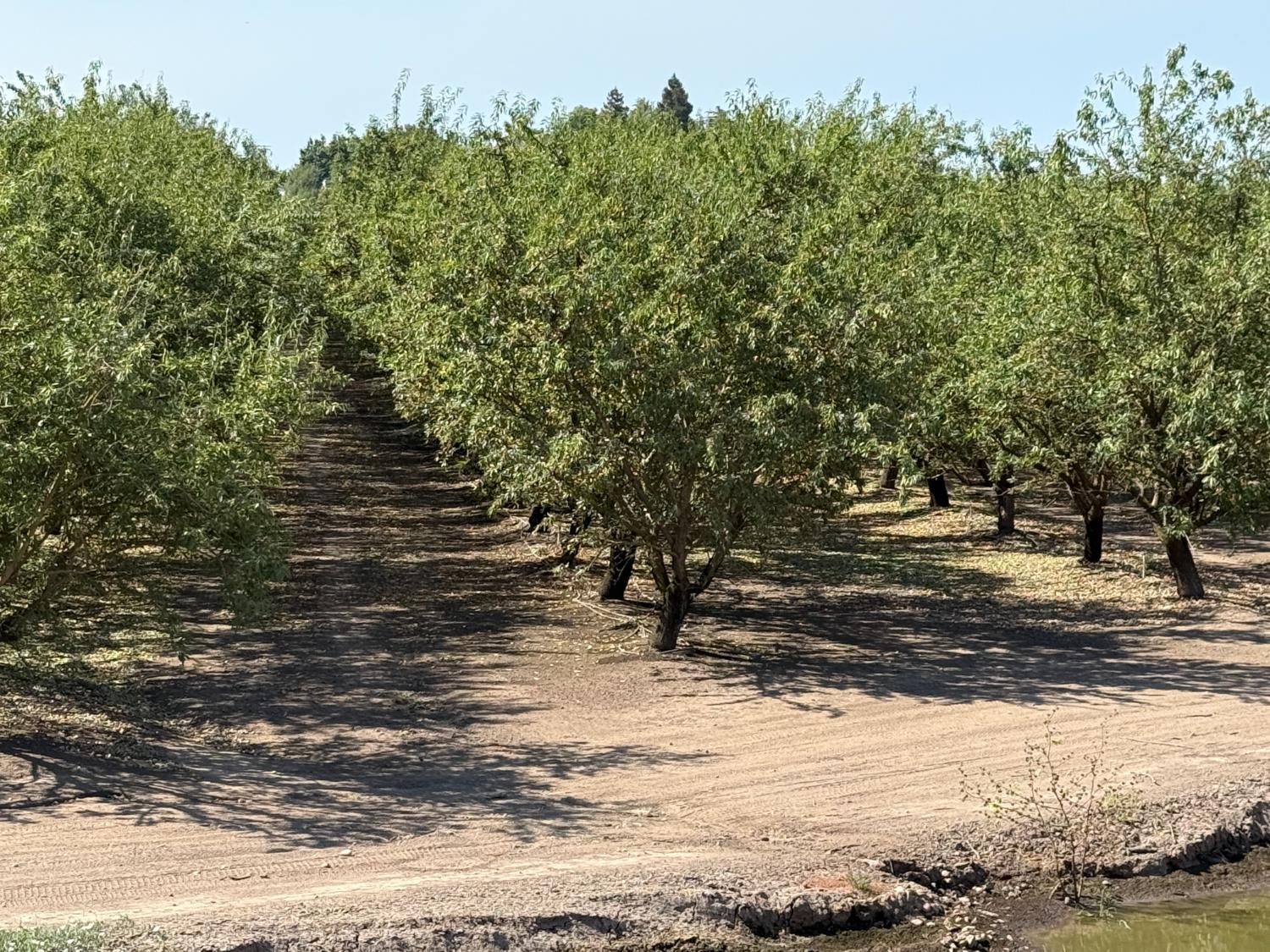 1327 Hazeldean Rd, Waterford, CA 95386
