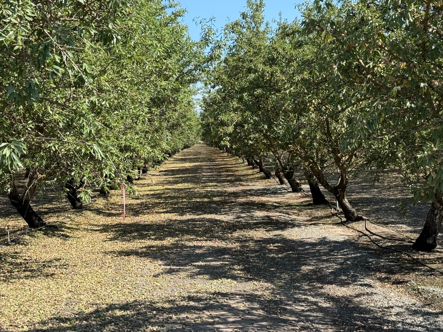1327 Hazeldean Rd, Waterford, CA 95386