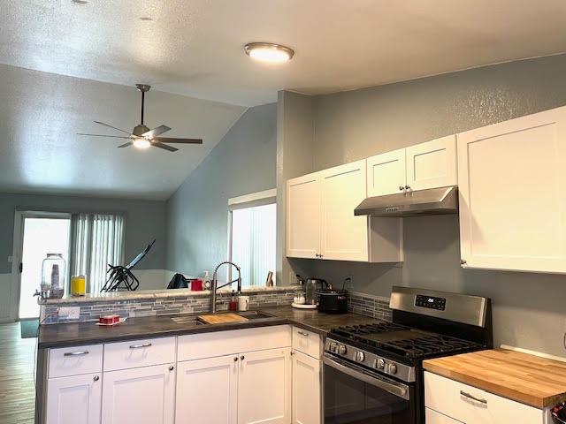 507 Lady Slipper Ln, Newman, CA 95360