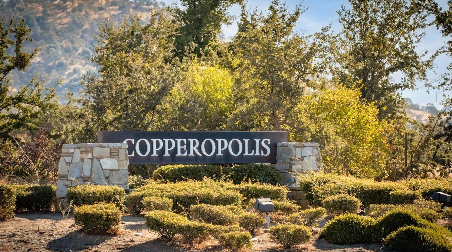 6250 Bluff View Rd, Copperopolis, CA 95228