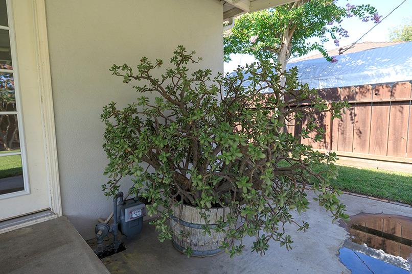 1509 Lorainne Ave, Modesto, CA 95350
