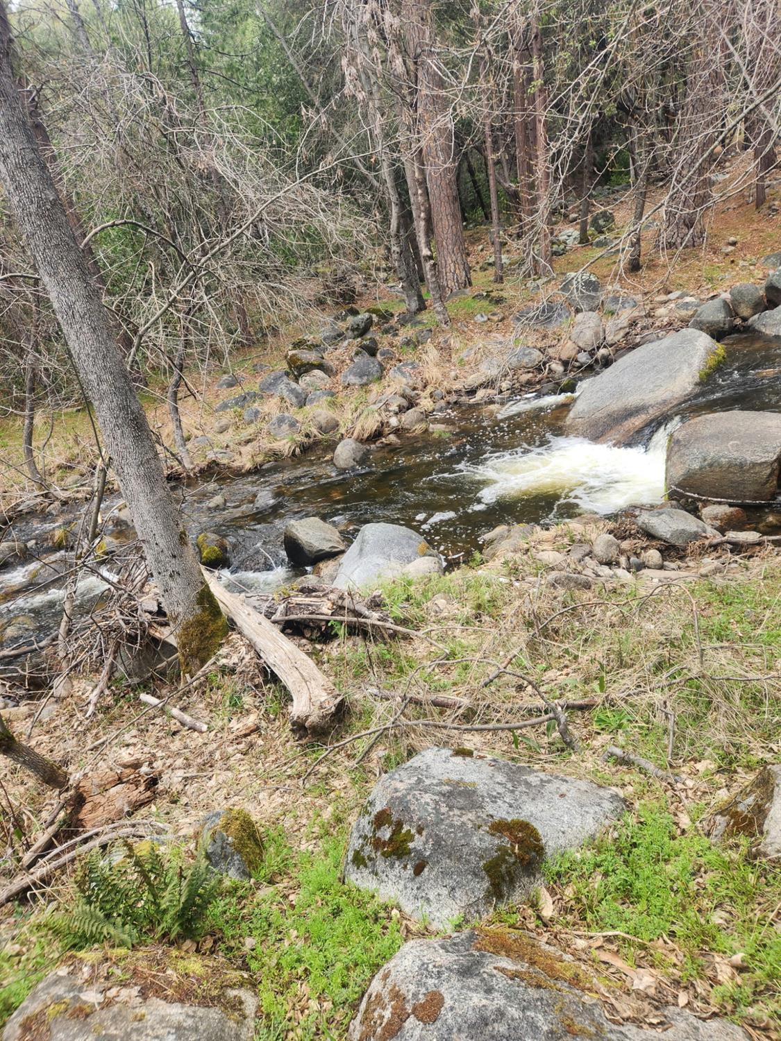2406 Anglers Ct, Mariposa, CA 95338