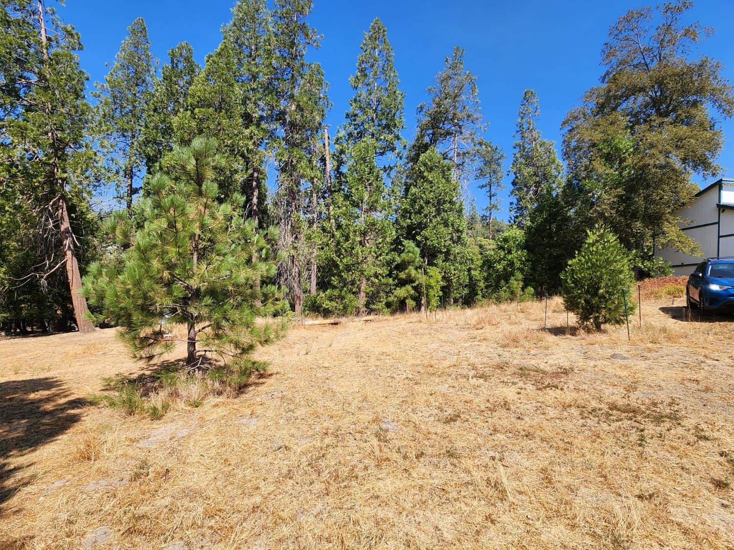 2406 Anglers Ct, Mariposa, CA 95338