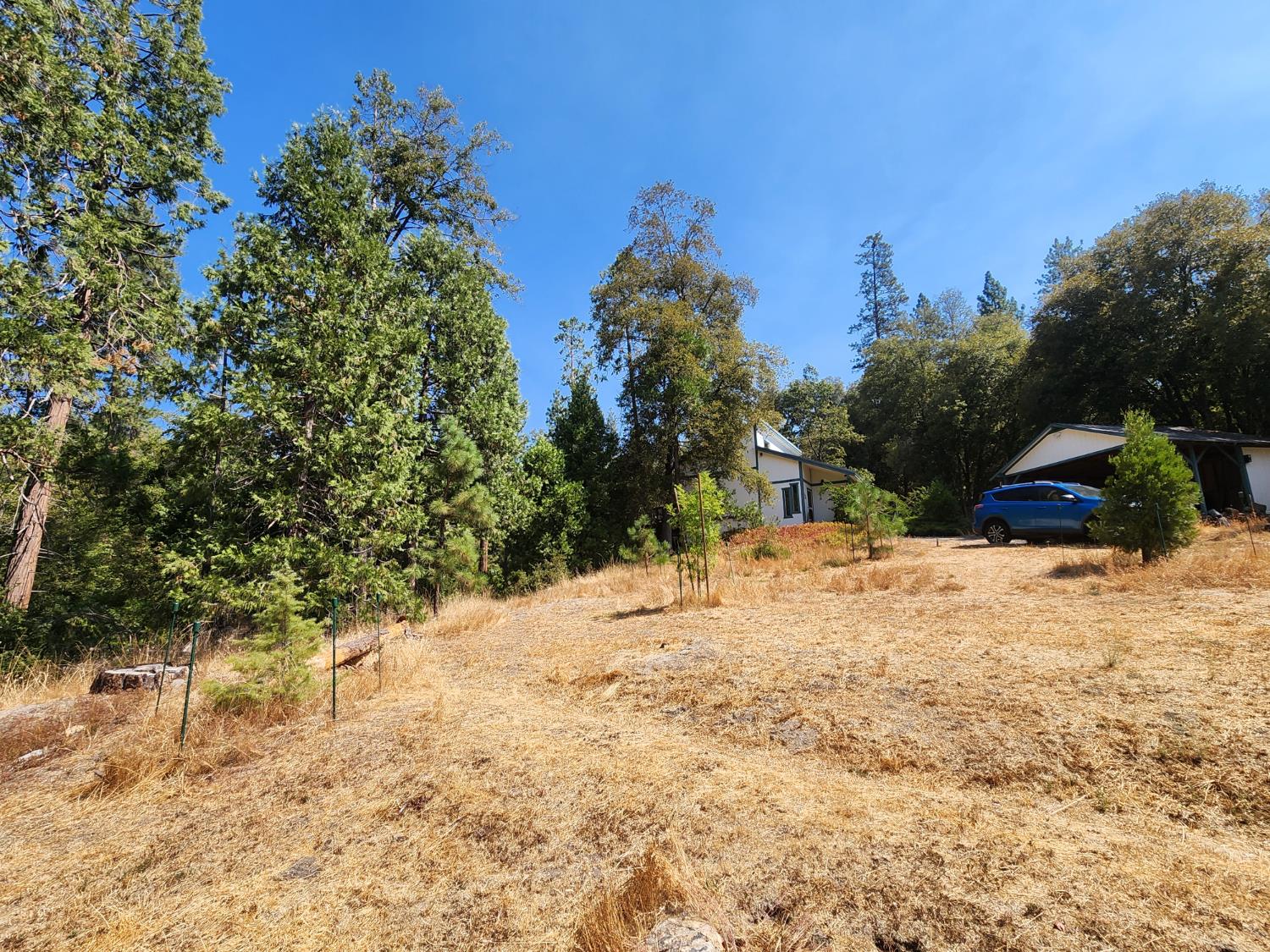 2406 Anglers Ct, Mariposa, CA 95338
