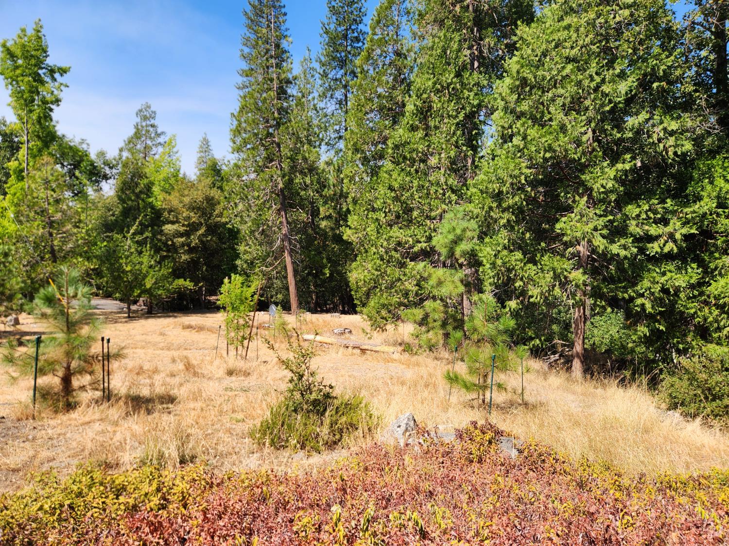 2406 Anglers Ct, Mariposa, CA 95338