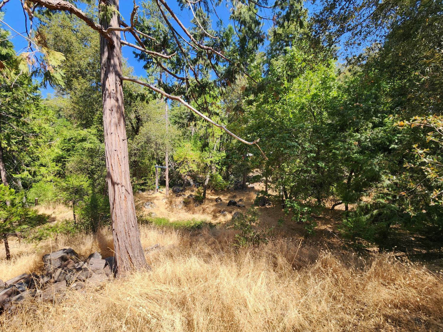 2406 Anglers Ct, Mariposa, CA 95338