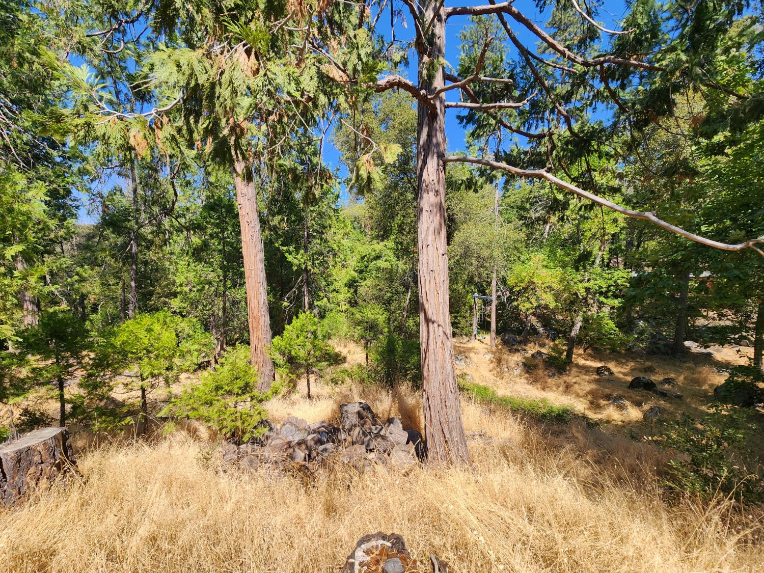 2406 Anglers Ct, Mariposa, CA 95338