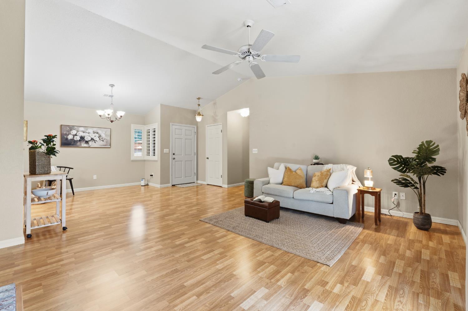Open Photo