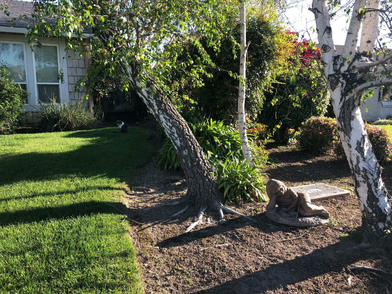 480 Cornell Dr, Turlock, CA 95382
