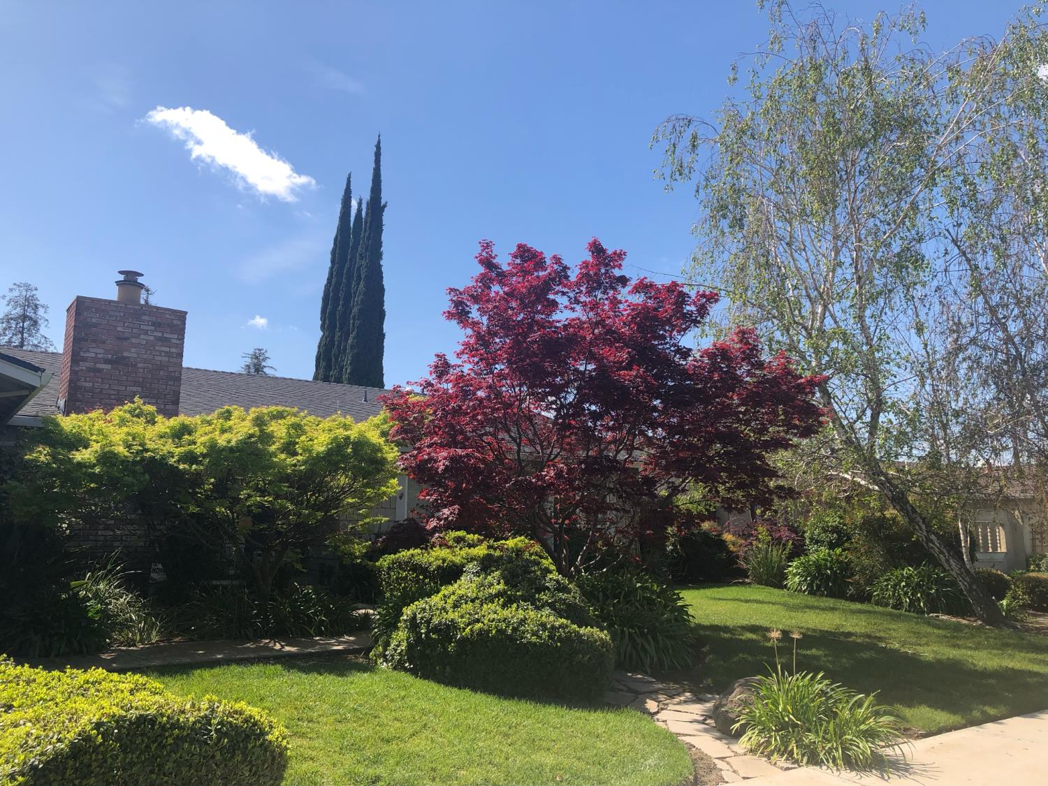 480 Cornell Dr, Turlock, CA 95382