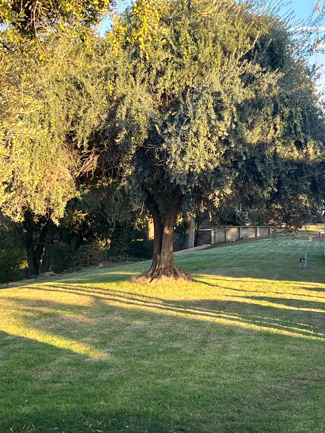 1252 Root Rd, Modesto, CA 95357