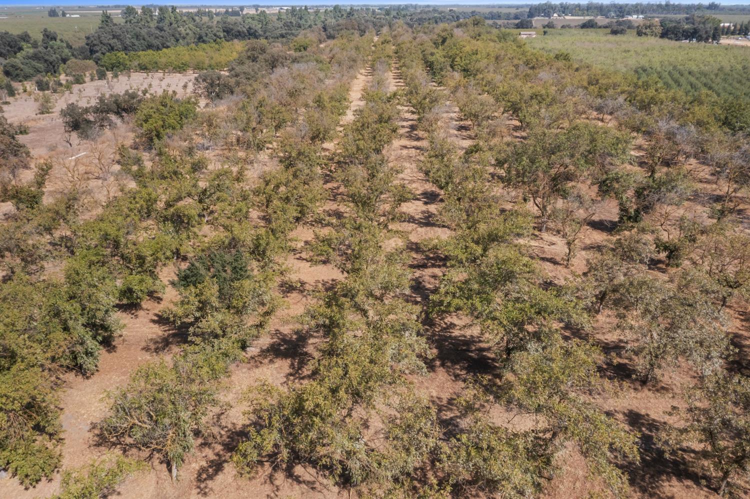 1252 Root Rd, Modesto, CA 95357