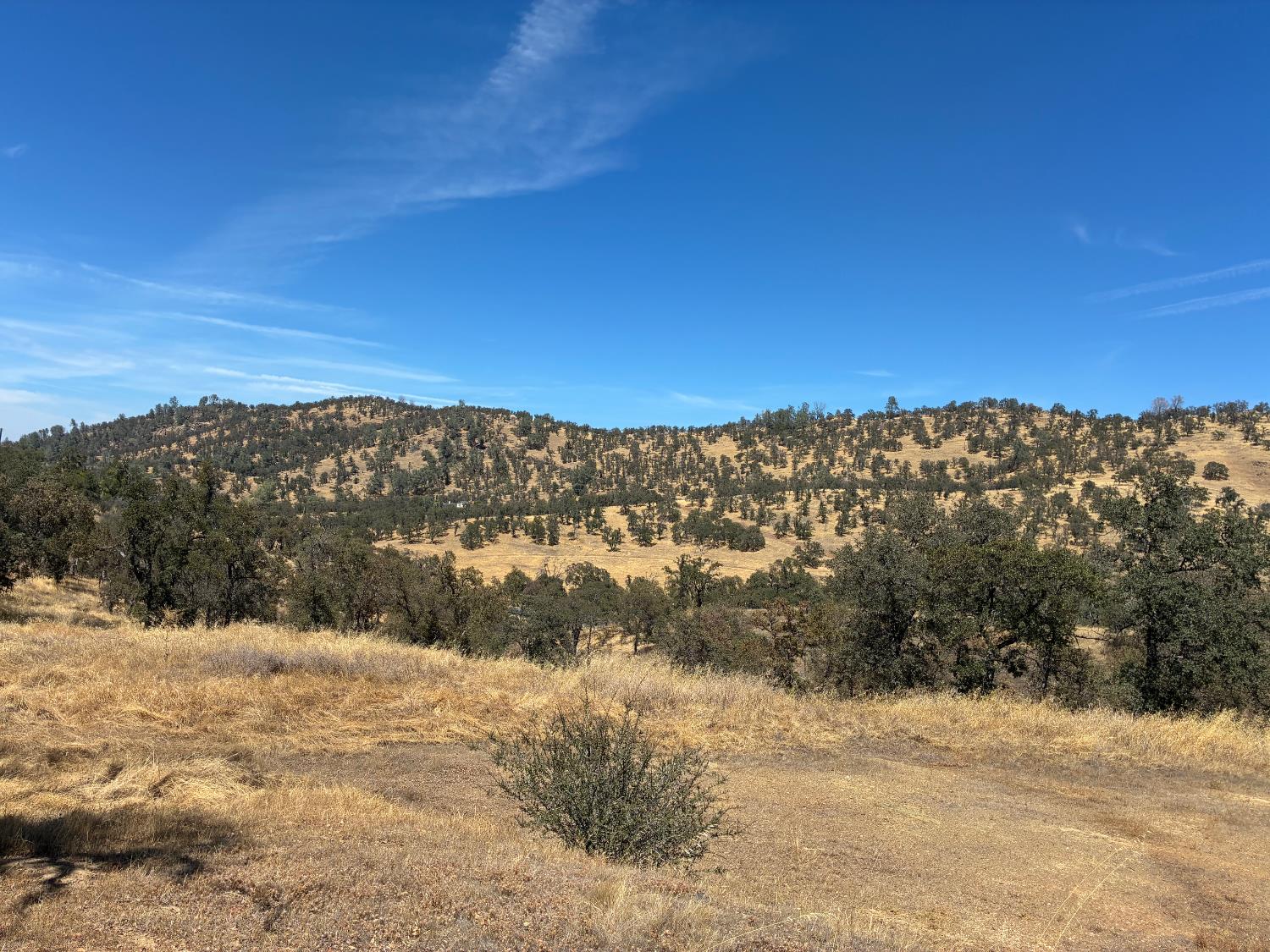 0 Pepito Dr, La Grange, CA 95329