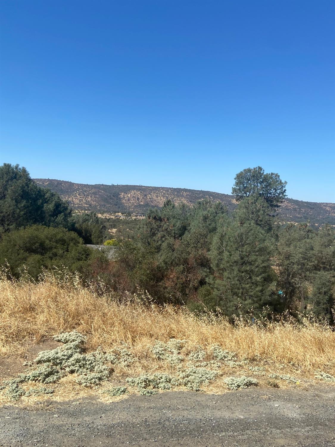 2335 Arrowhead St, Copperopolis, CA 95228