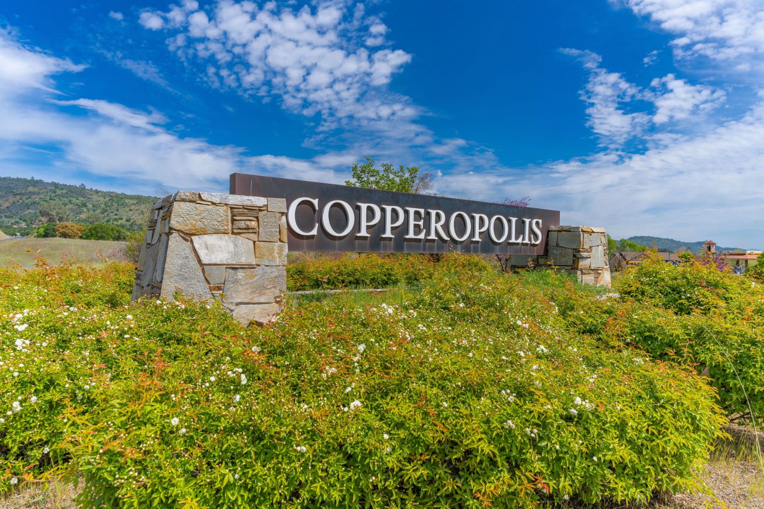 2335 Arrowhead St, Copperopolis, CA 95228