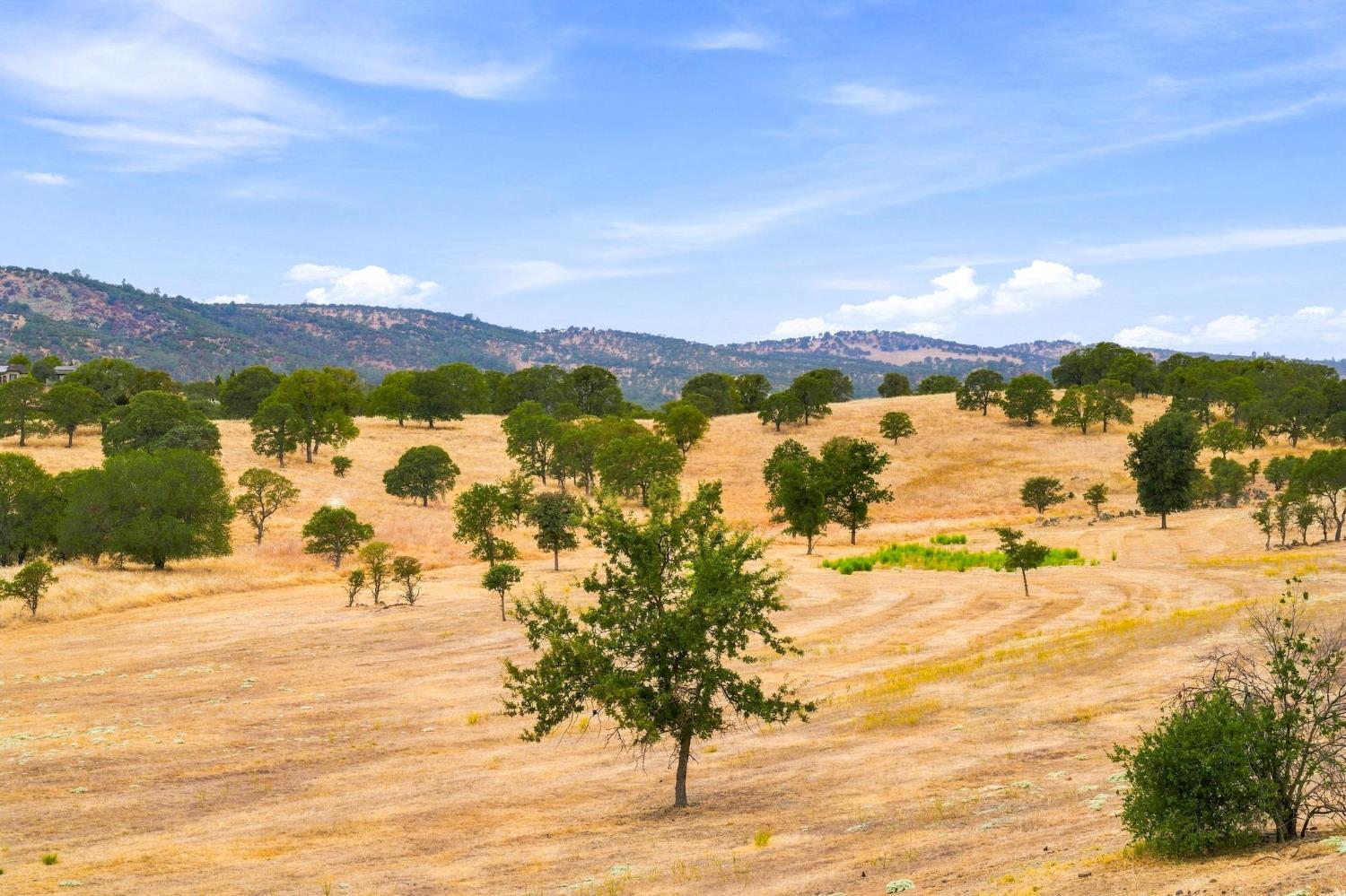 217 Rock Ridge Ln, Copperopolis, CA 95228