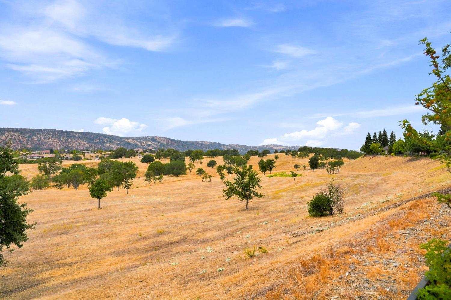 217 Rock Ridge Ln, Copperopolis, CA 95228