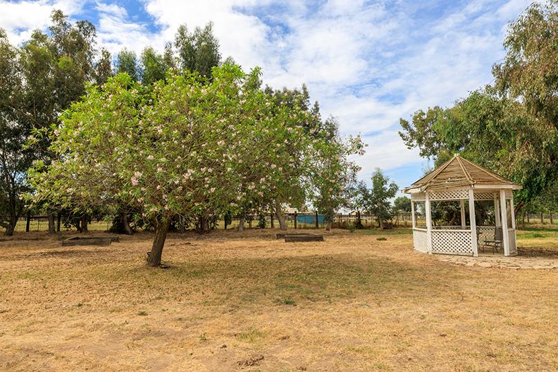 6249 Eleanor Rd, Oakdale, CA 95361