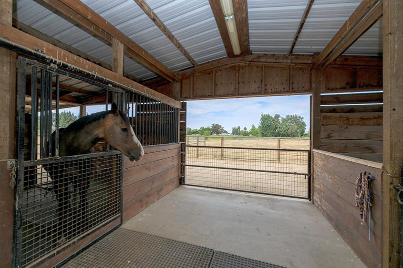 6249 Eleanor Rd, Oakdale, CA 95361