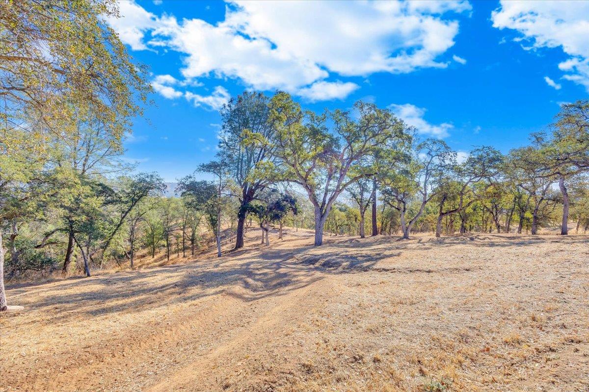 3085 Arrowhead St, Copperopolis, CA 95228