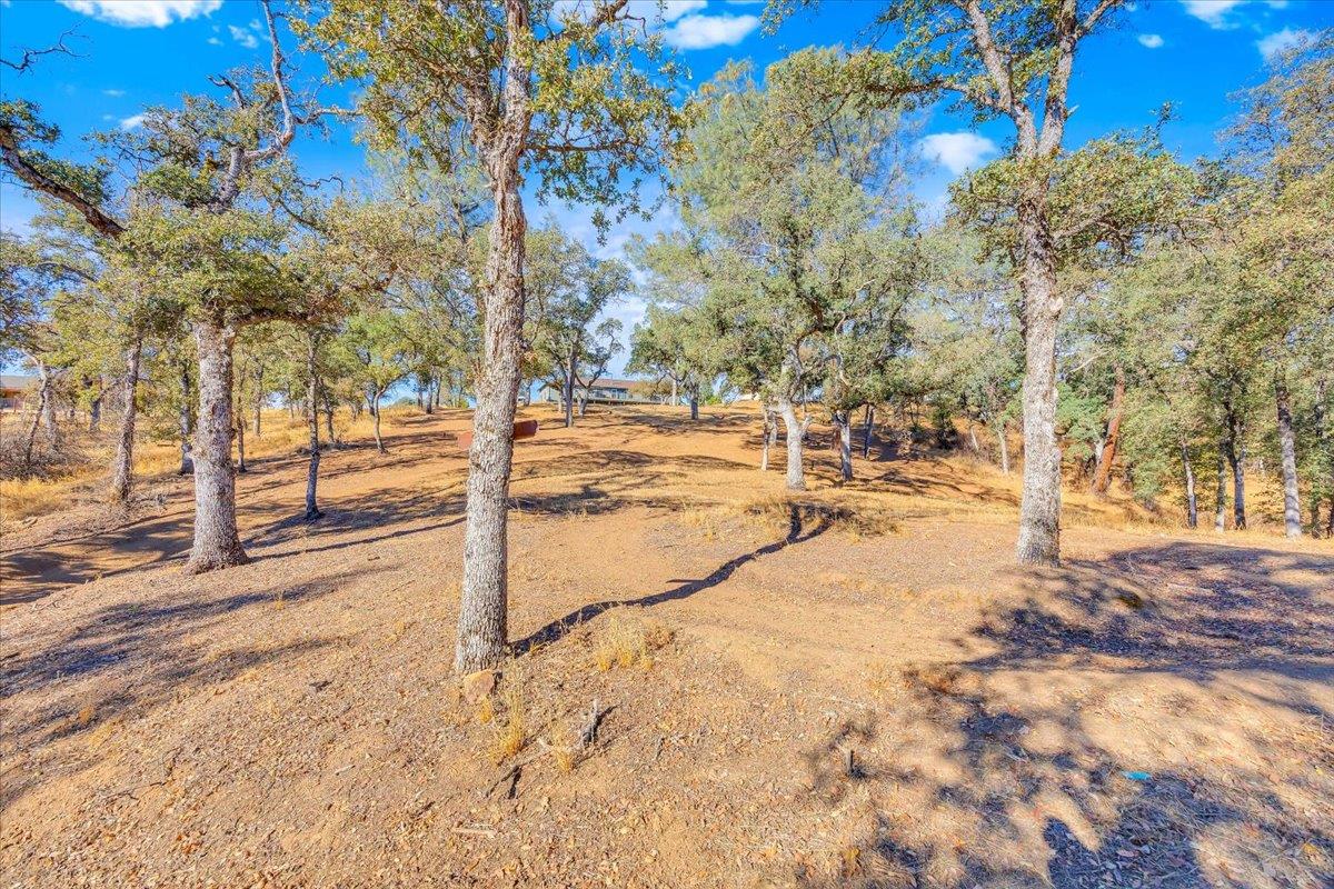 3085 Arrowhead St, Copperopolis, CA 95228