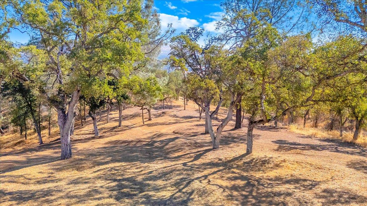 3085 Arrowhead St, Copperopolis, CA 95228