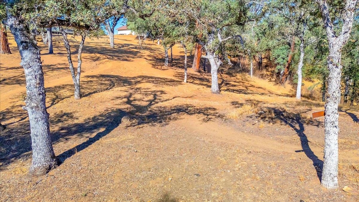 3085 Arrowhead St, Copperopolis, CA 95228
